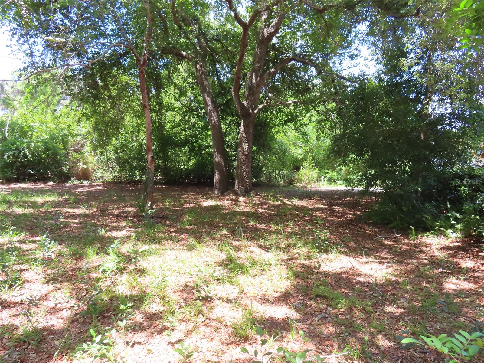 Mayo, Crystal Beach, FL 34681
