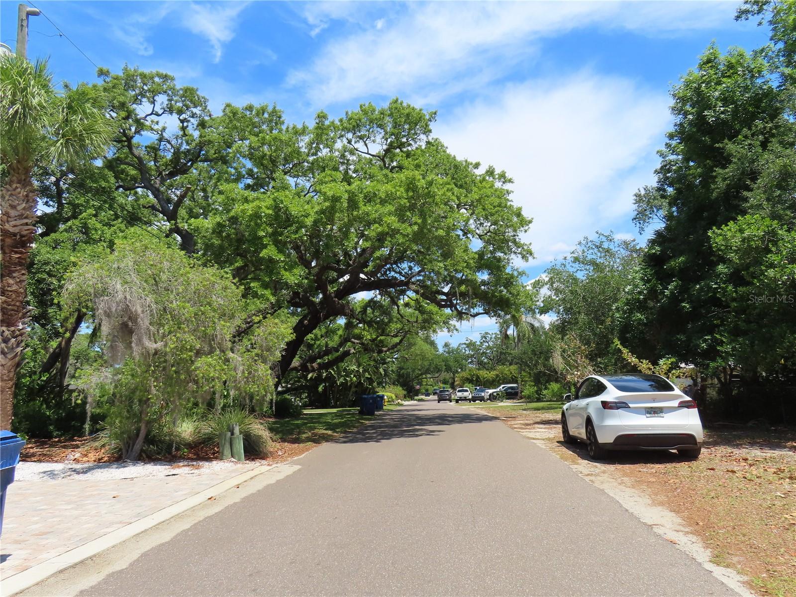 Mayo, Crystal Beach, FL 34681