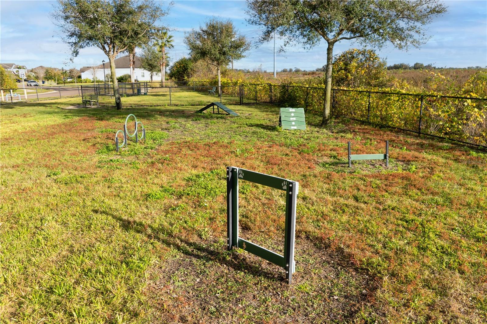 13415 White Sapphire Rd, Riverview, FL 33579