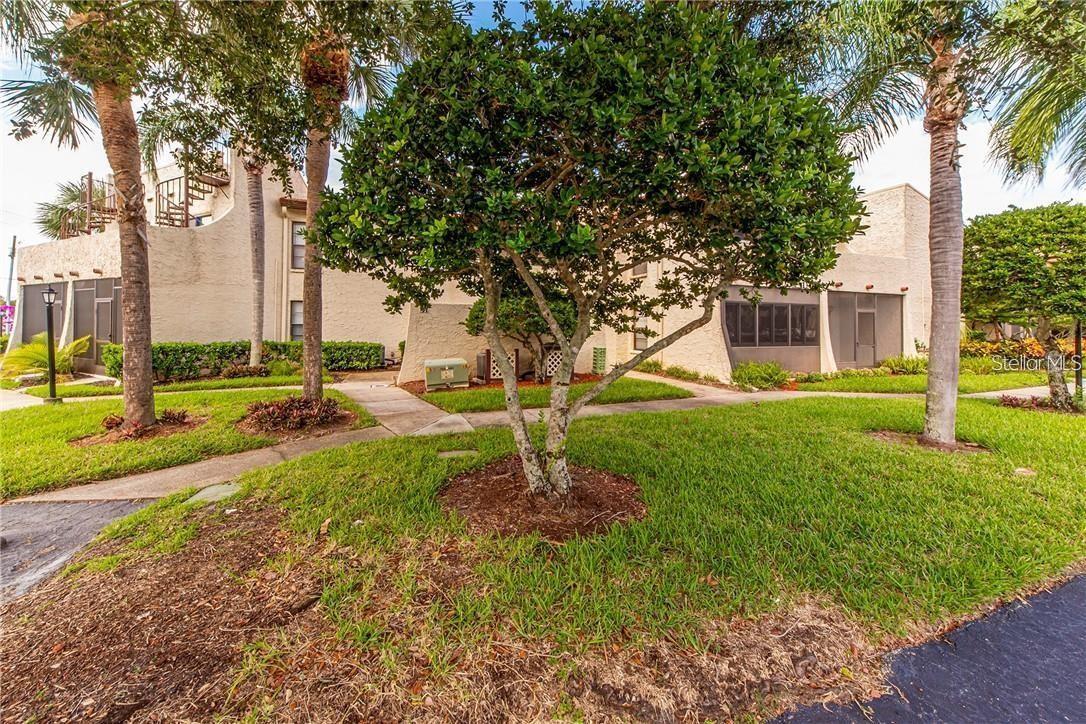 2571 Cyprus Dr #1-204, Palm Harbor, FL 34684
