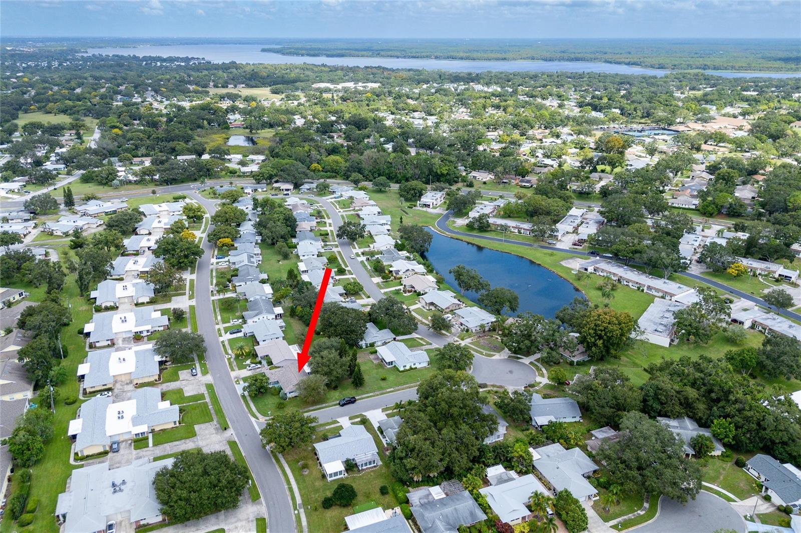 1472 Queen Anne Dr, Palm Harbor, FL 34684