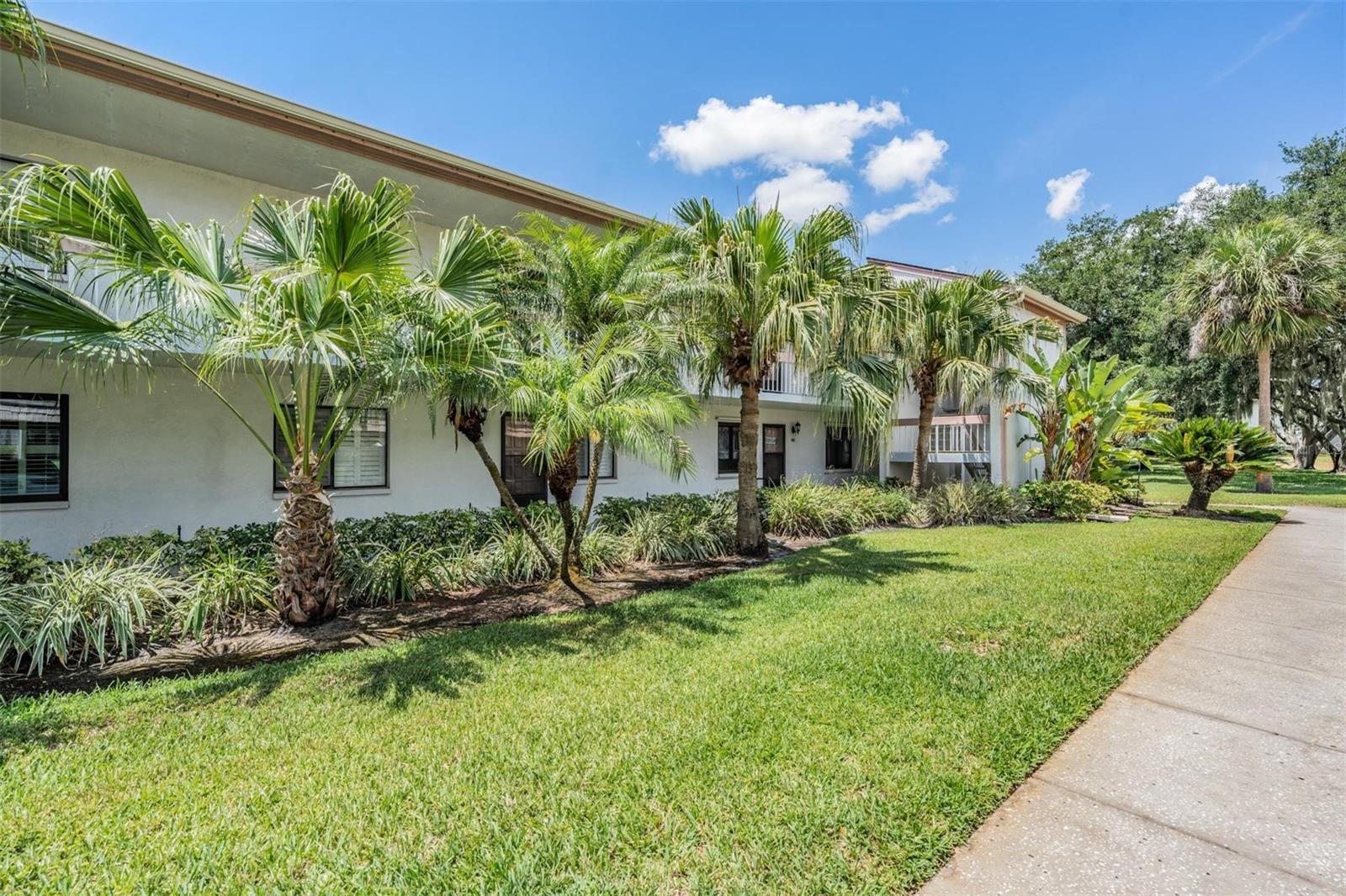 112 Lakeview Pl #12, Oldsmar, FL 34677