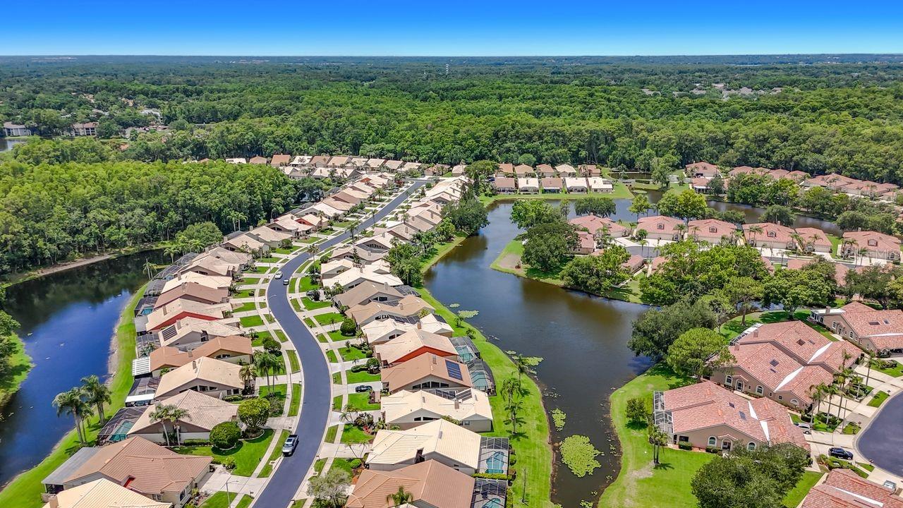 5569 Greyston St, Palm Harbor, FL 34685