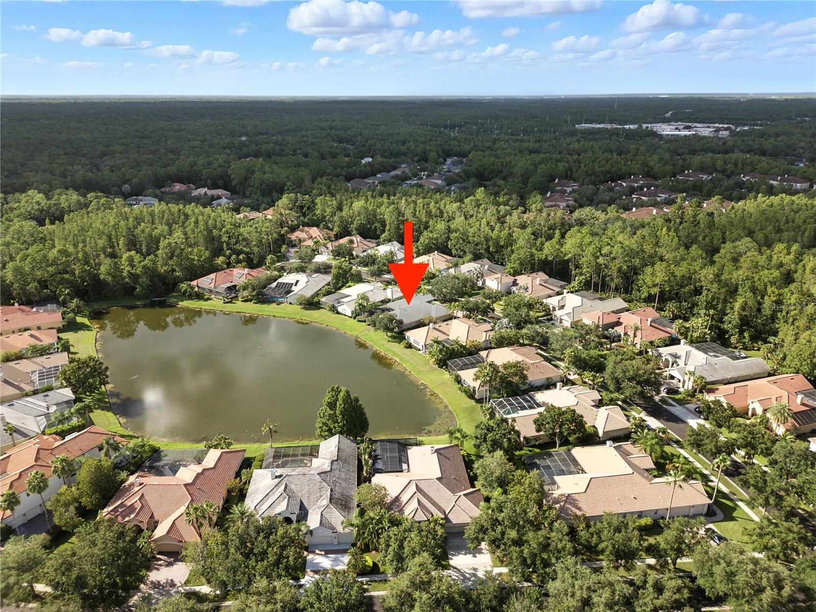 17210 Broadoak Dr, Tampa, FL 33647