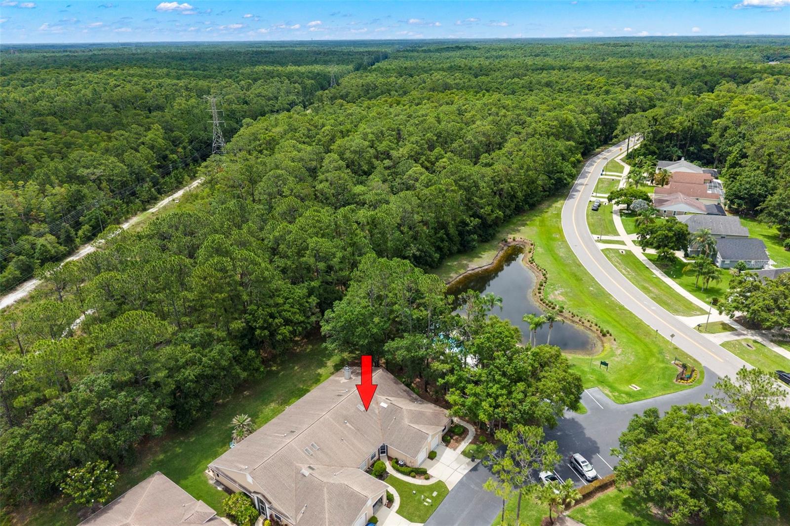 4405 Connery Ct, Palm Harbor, FL 34685