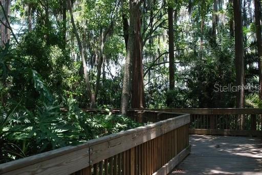 3256 Bentley Dr, Palm Harbor, FL 34684