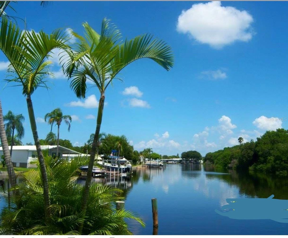7234 Mount Fairfield Rd NE #529, St Petersburg, FL 33702