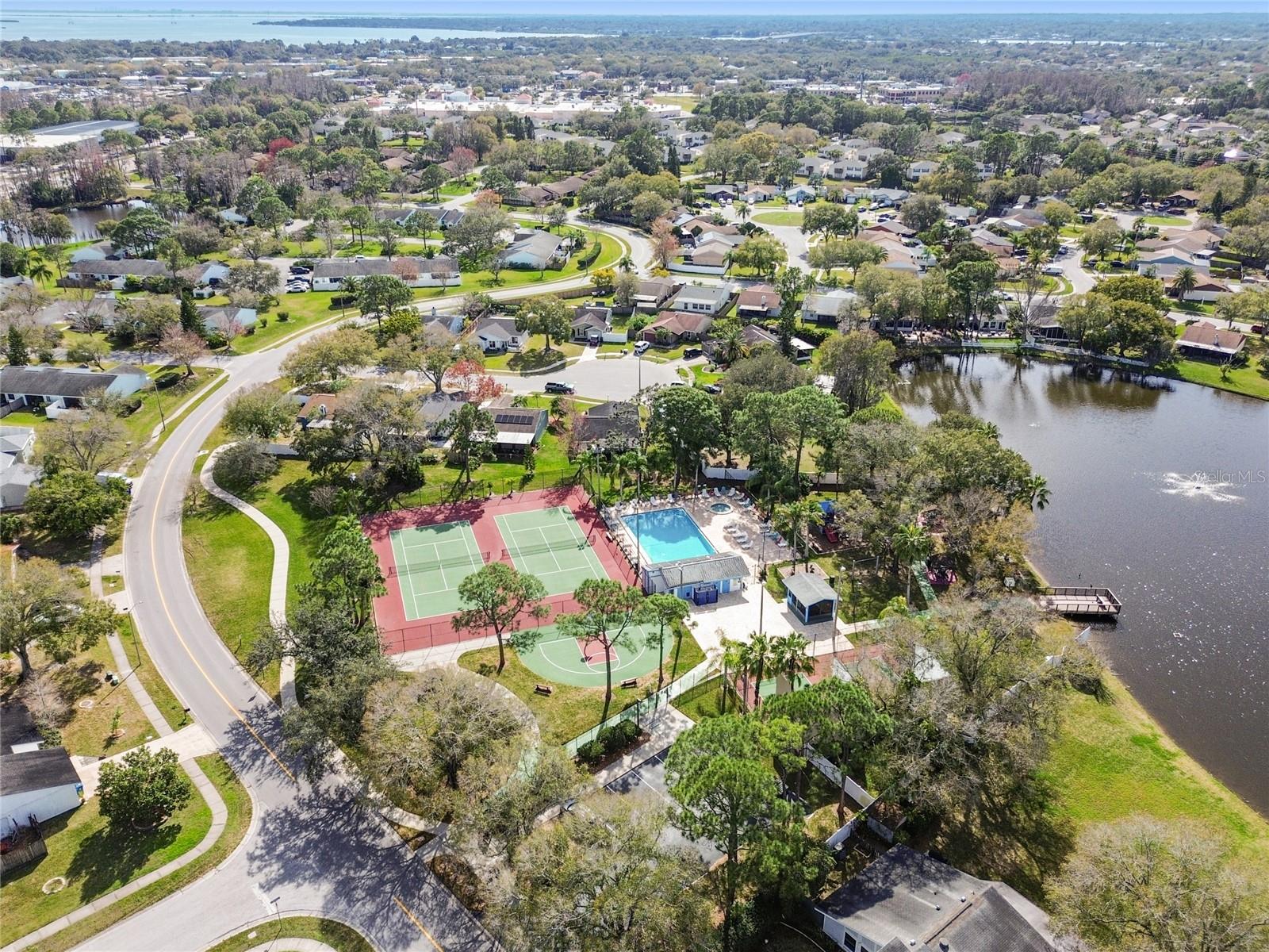 133 Sabal Ct #G, Oldsmar, FL 34677