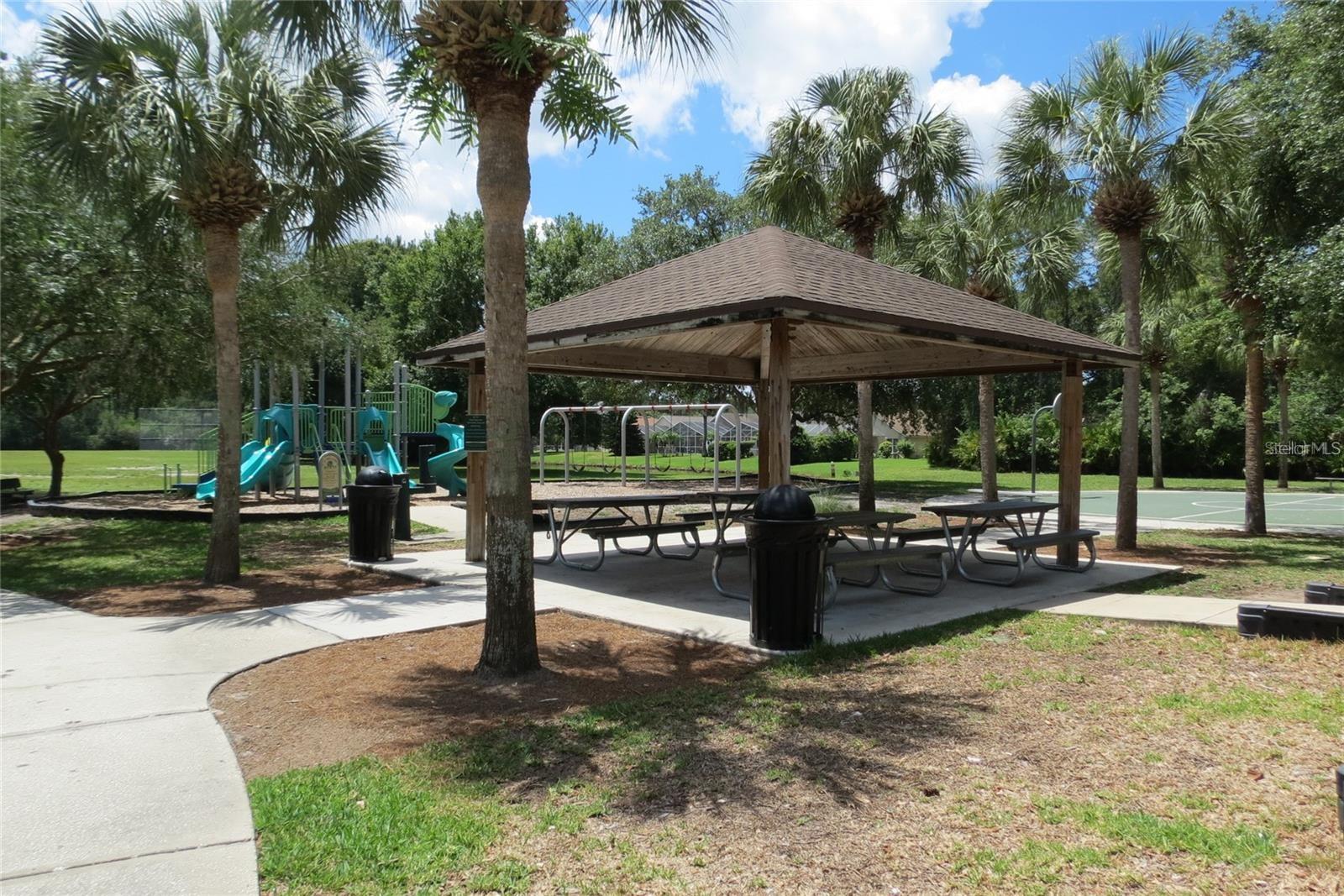 12502 Blazing Star Dr, Tampa, FL 33626