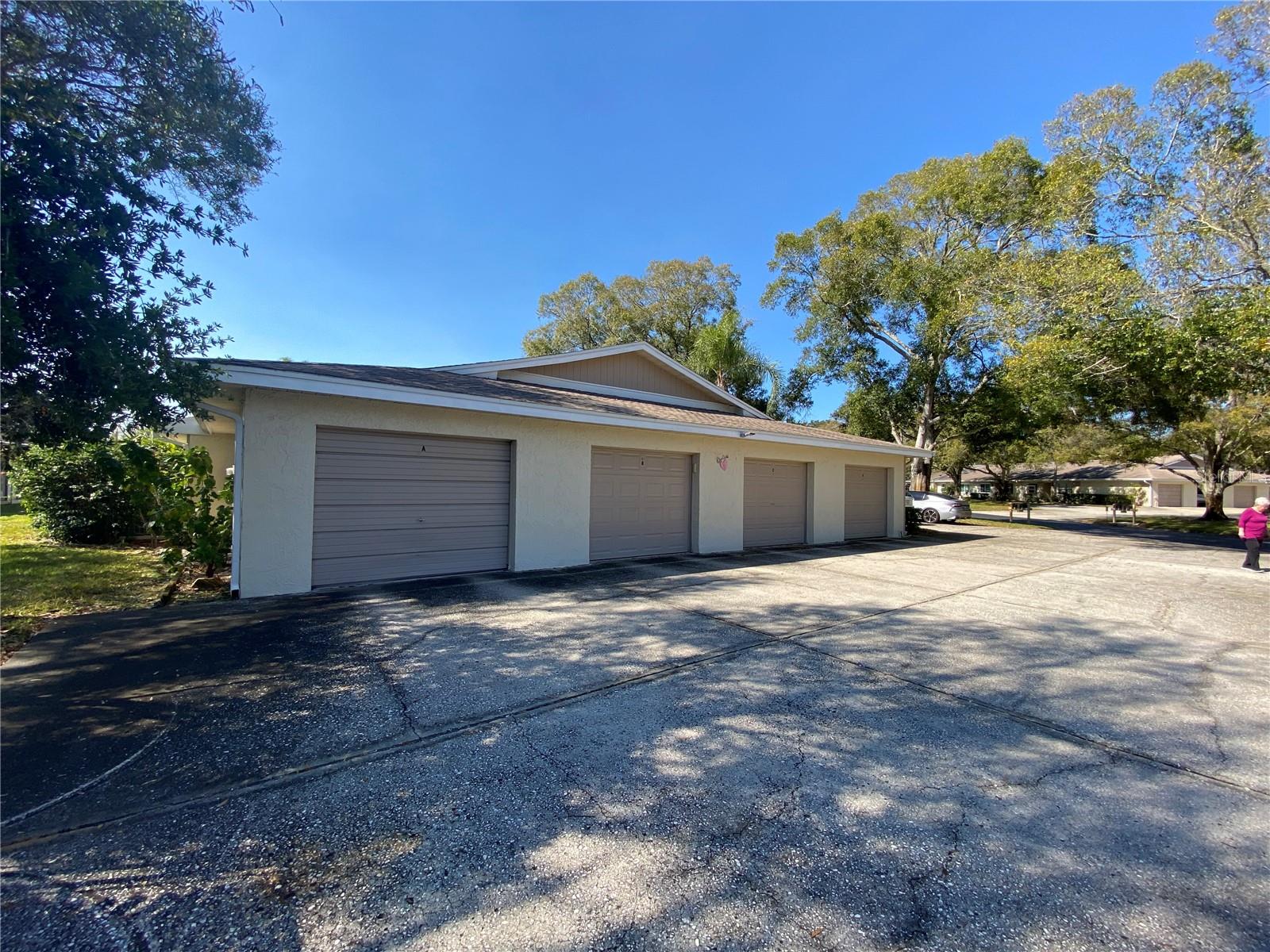 1059 Dunrobin Dr #B, Palm Harbor, FL 34684