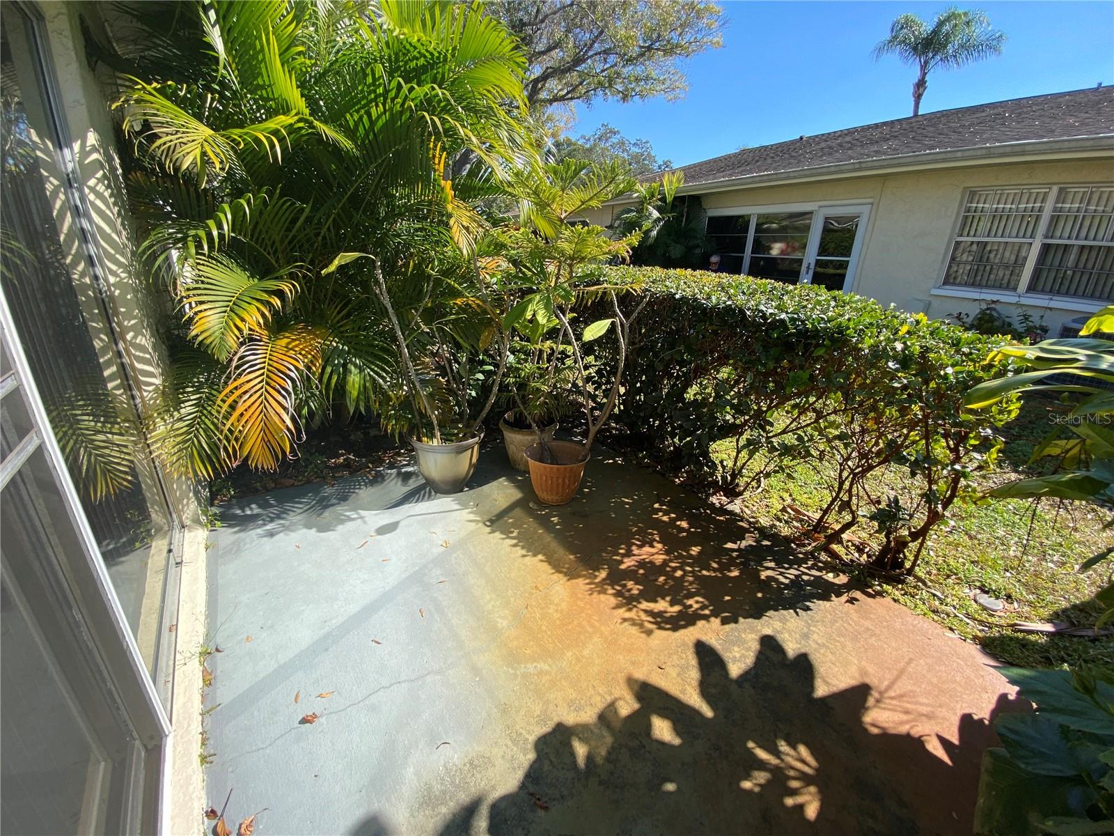 1059 Dunrobin Dr #B, Palm Harbor, FL 34684