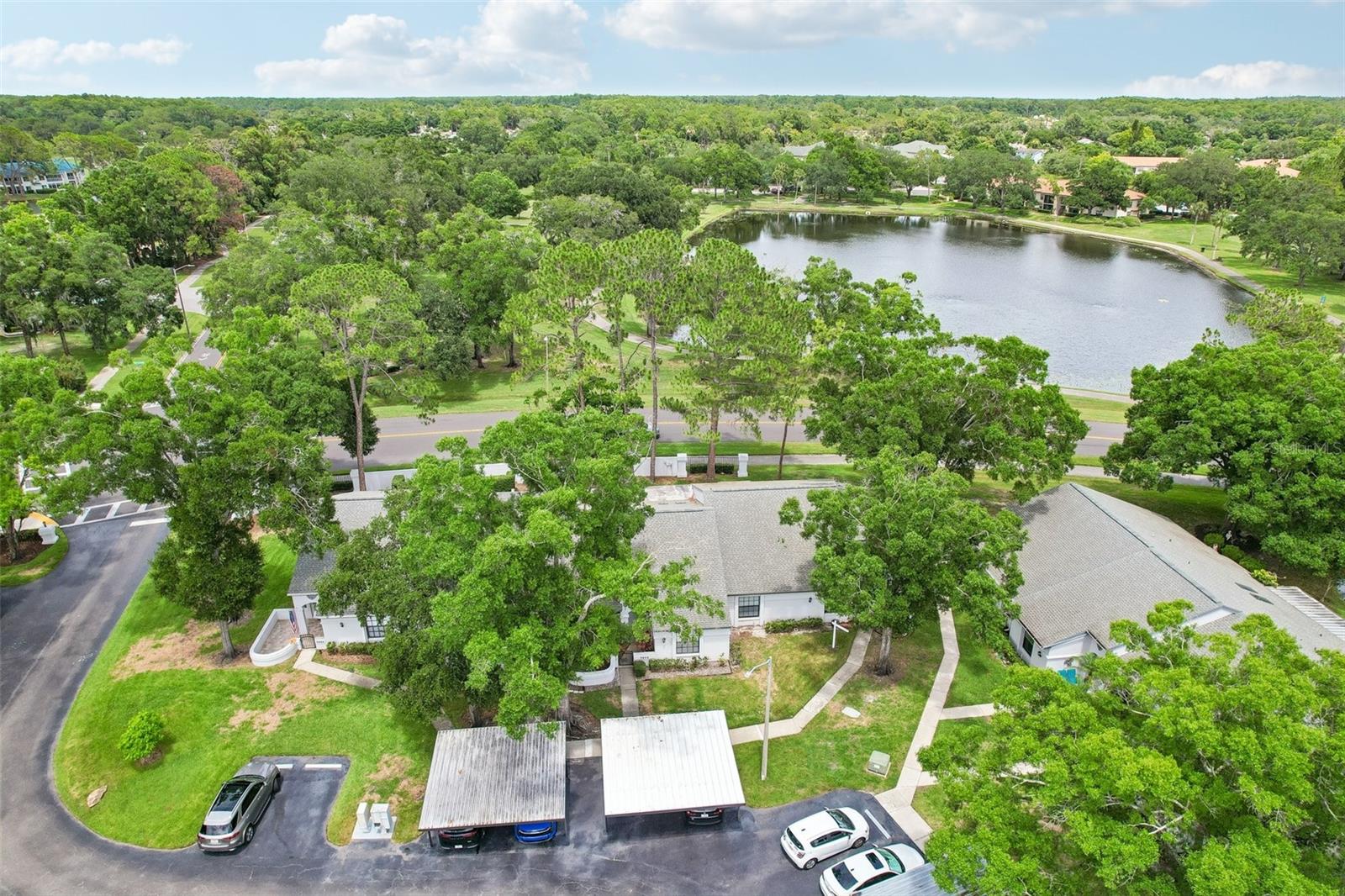 3878 Tanager Pl, Palm Harbor, FL 34685