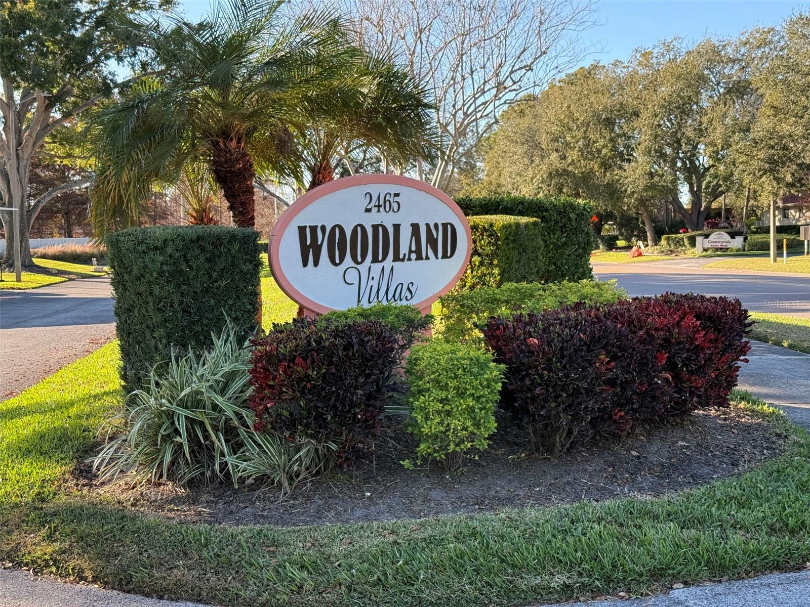 2465 Northside Dr #102, Clearwater, FL 33761