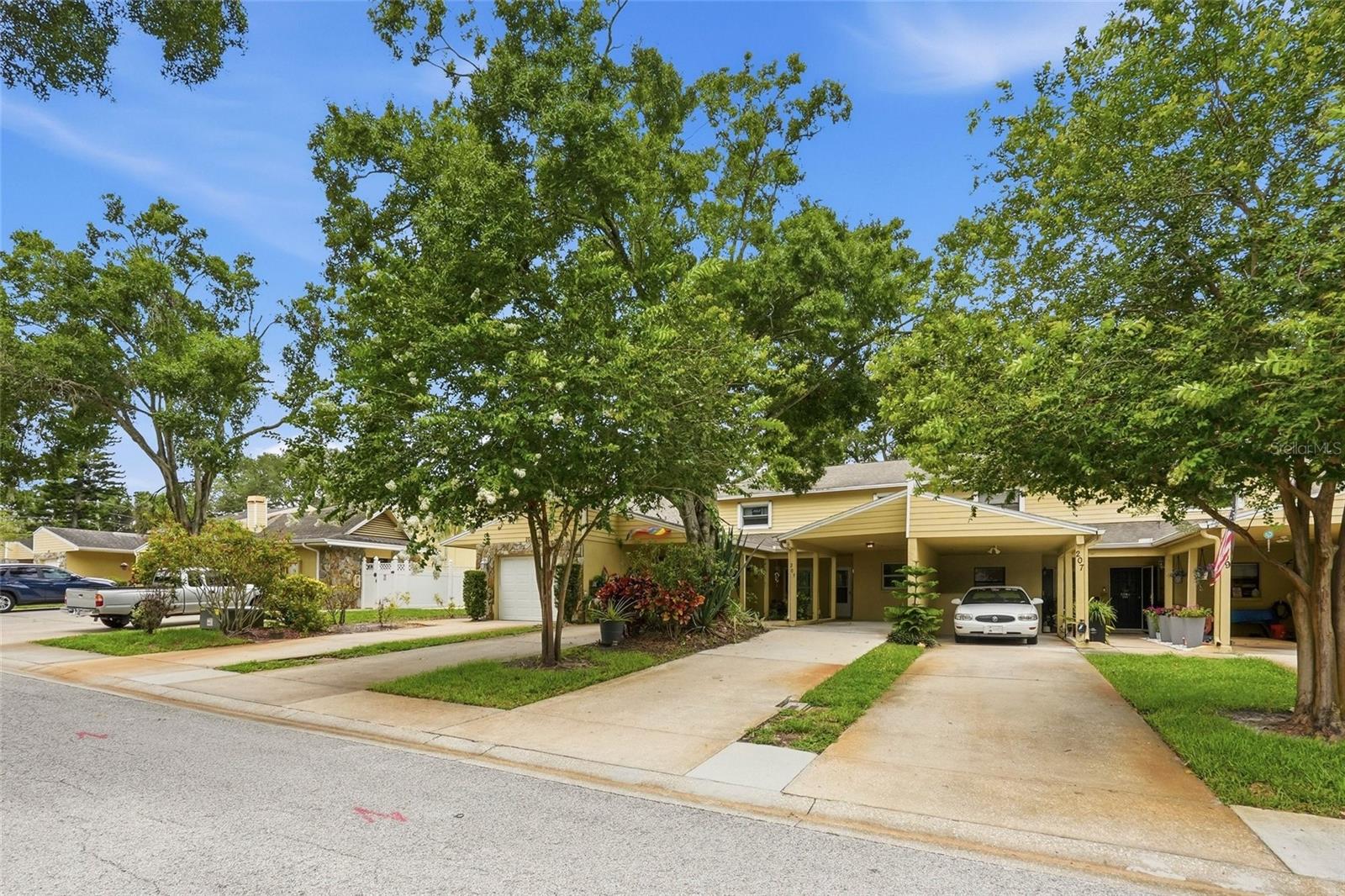 205 Somerset Ln, Palm Harbor, FL 34684