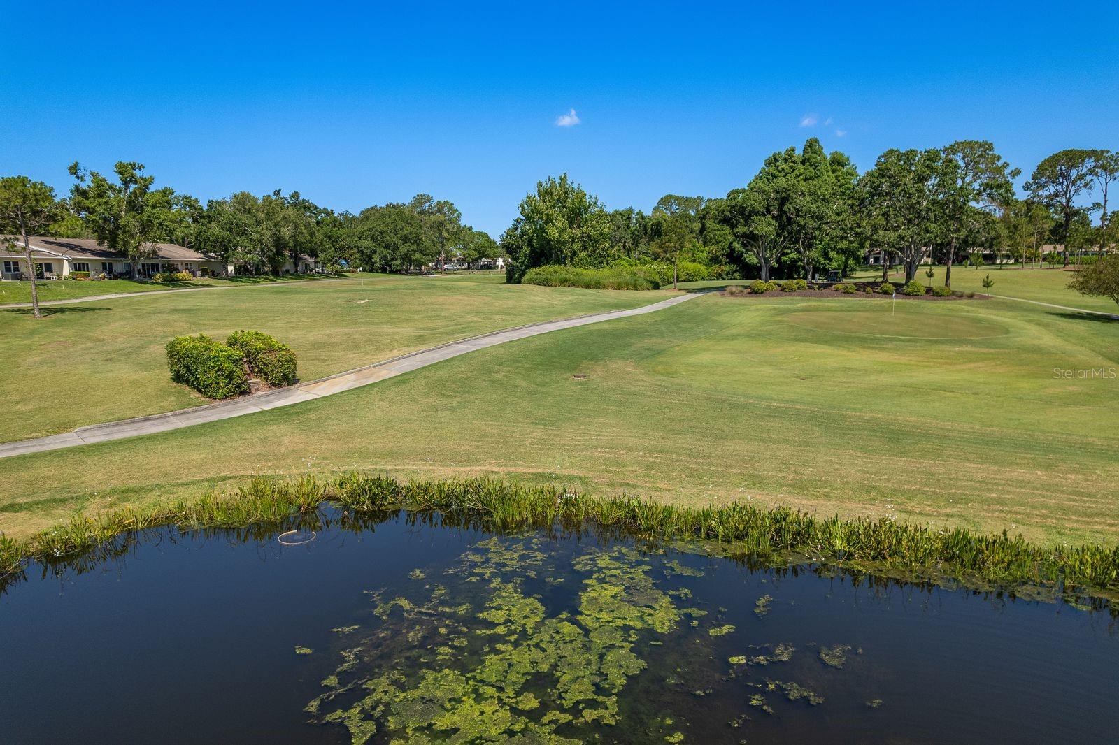3127 Mission Grove Dr #3127, Palm Harbor, FL 34684