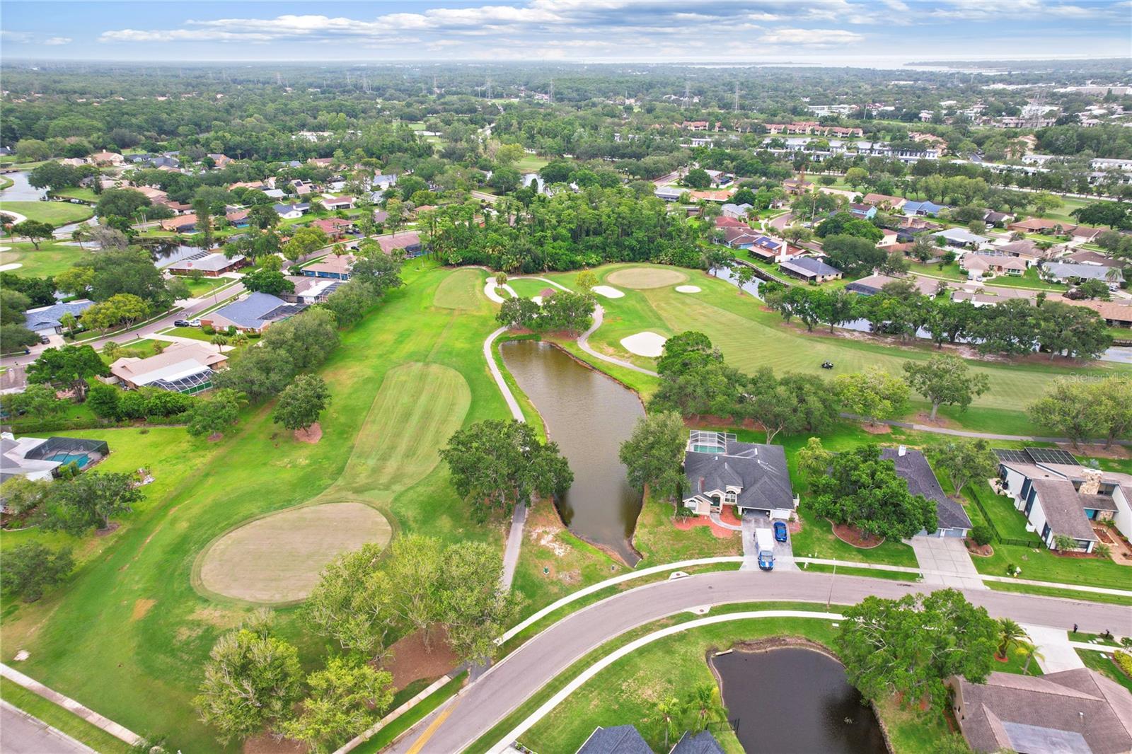 10 Arbor Ln, Oldsmar, FL 34677