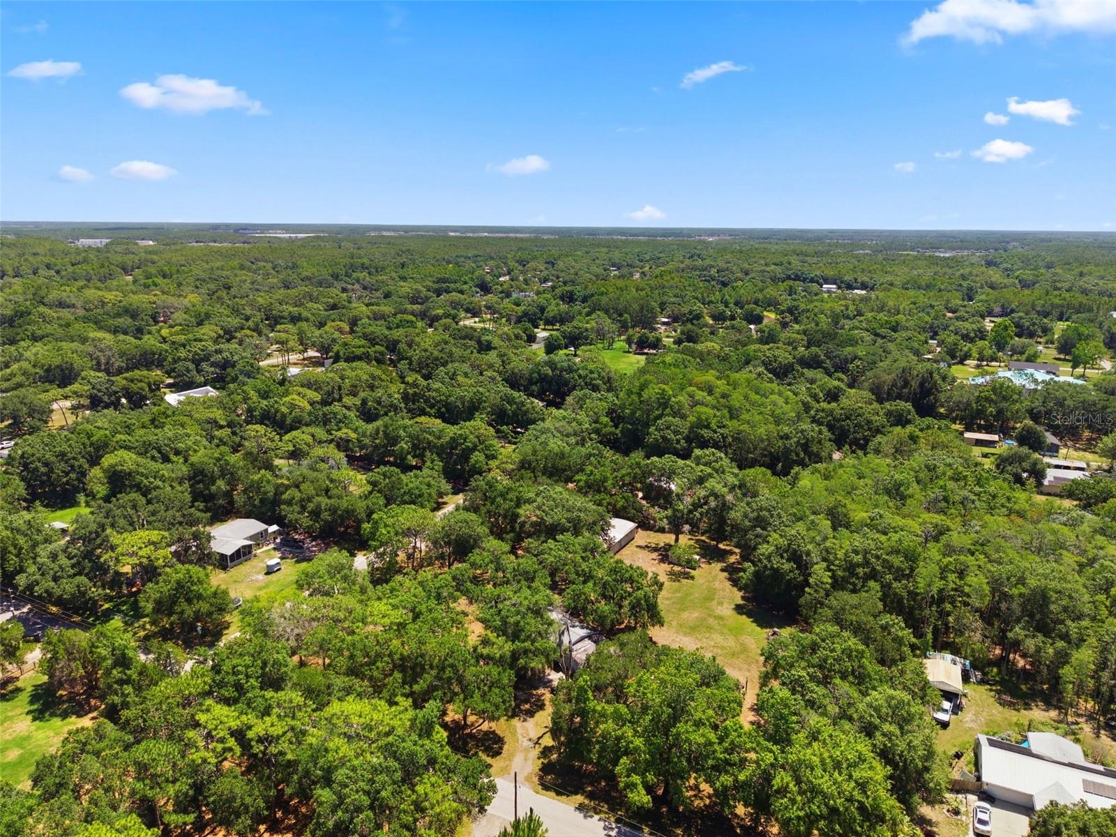 17214 Chinaberry Rd, Lutz, FL 33558