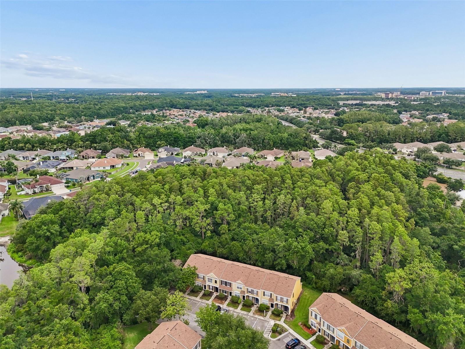 30005 Granda Hills Ct, Wesley Chapel, FL 33543