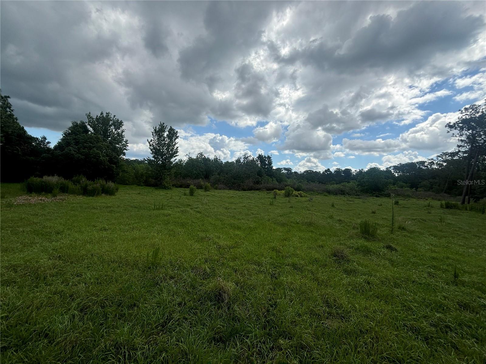 28651 Tupper Rd, Wesley Chapel, FL 33545