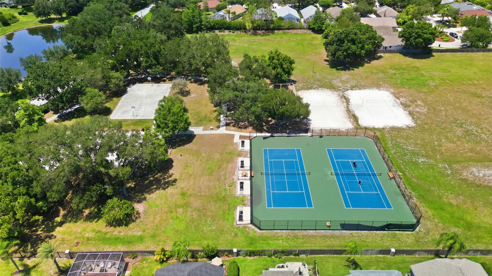 19720 Morden Blush Dr, Lutz, FL 33558