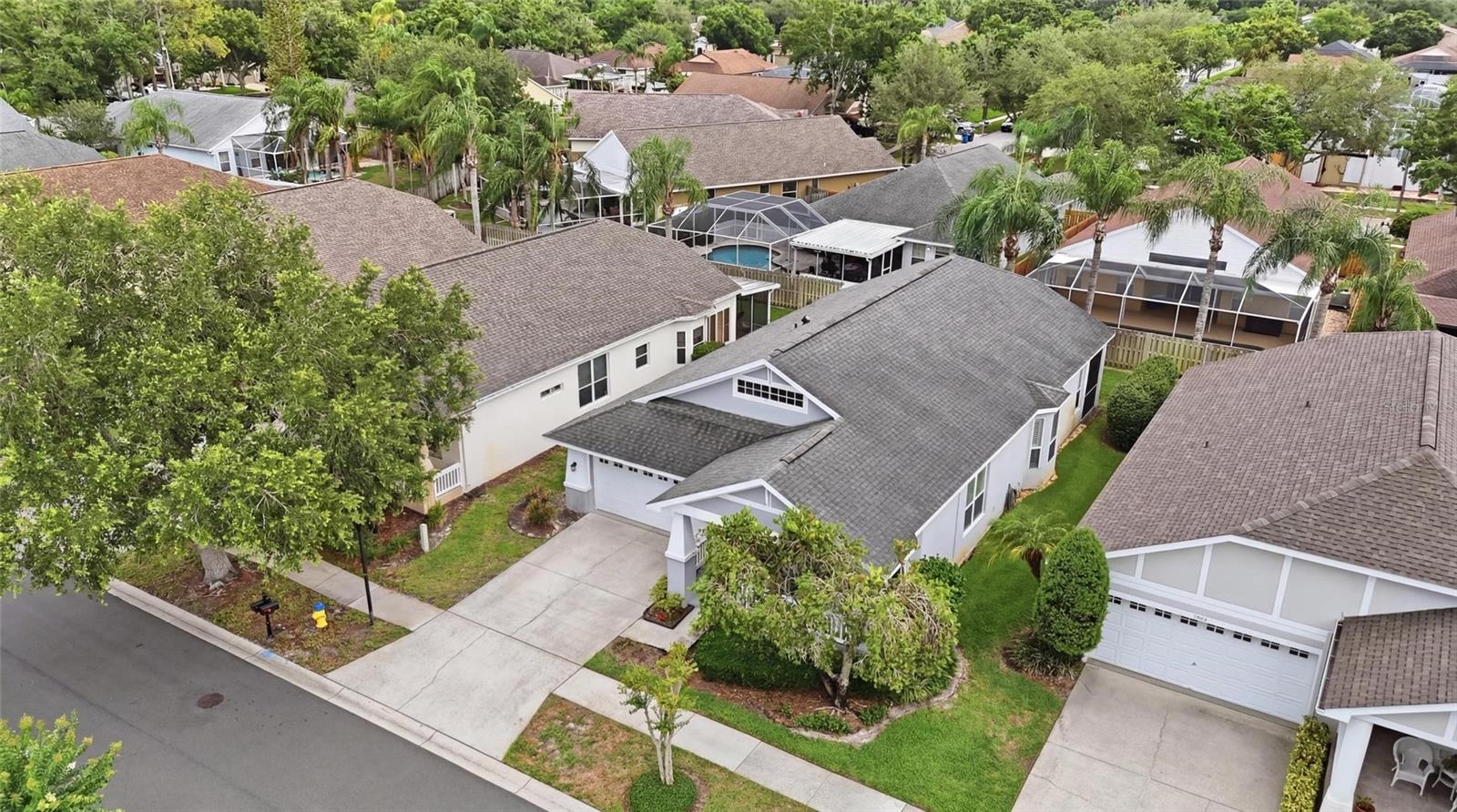 4613 Corsage Dr, Lutz, FL 33558