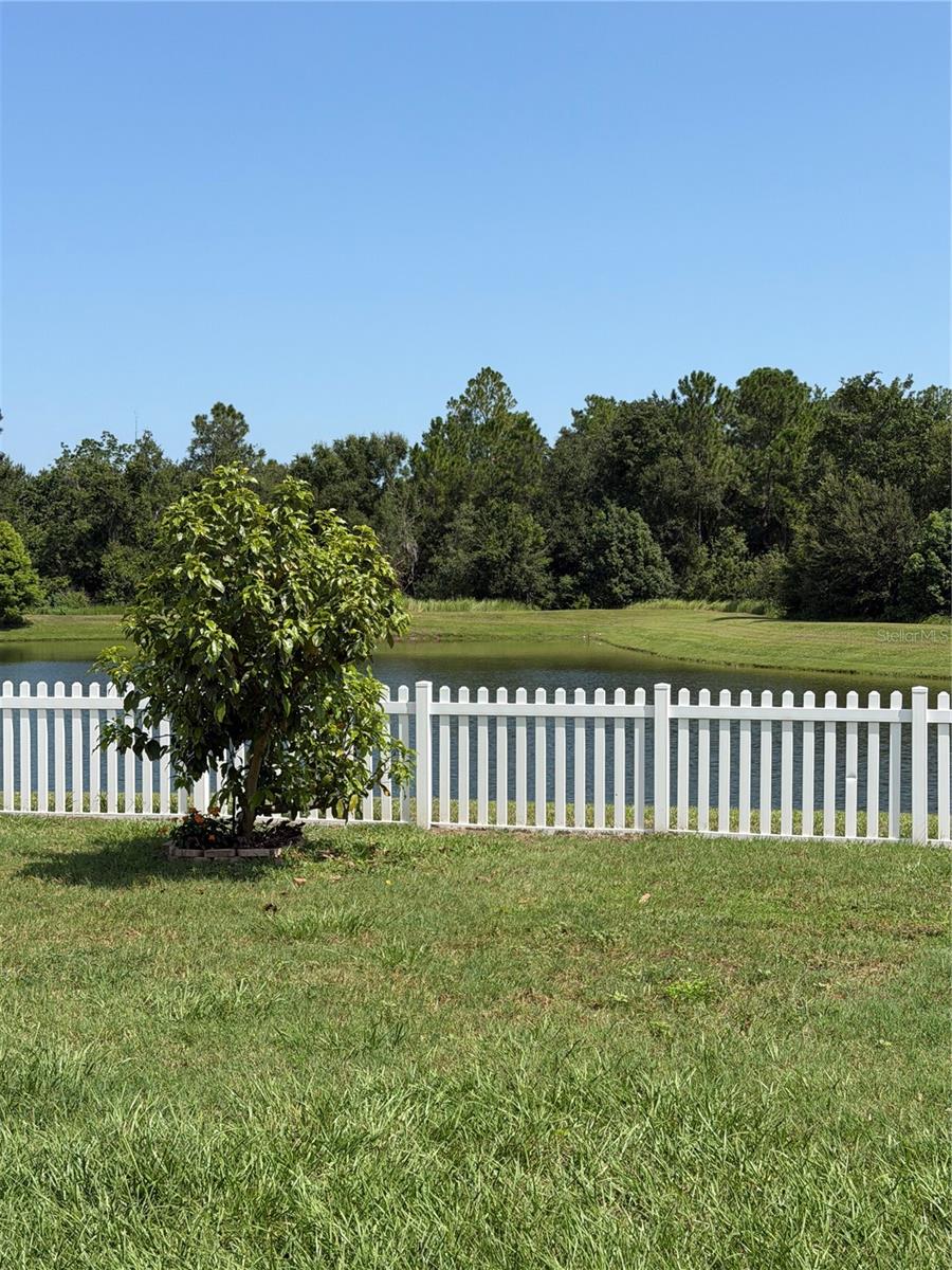 36101 Stable Wilk Ave, Zephyrhills, FL 33541