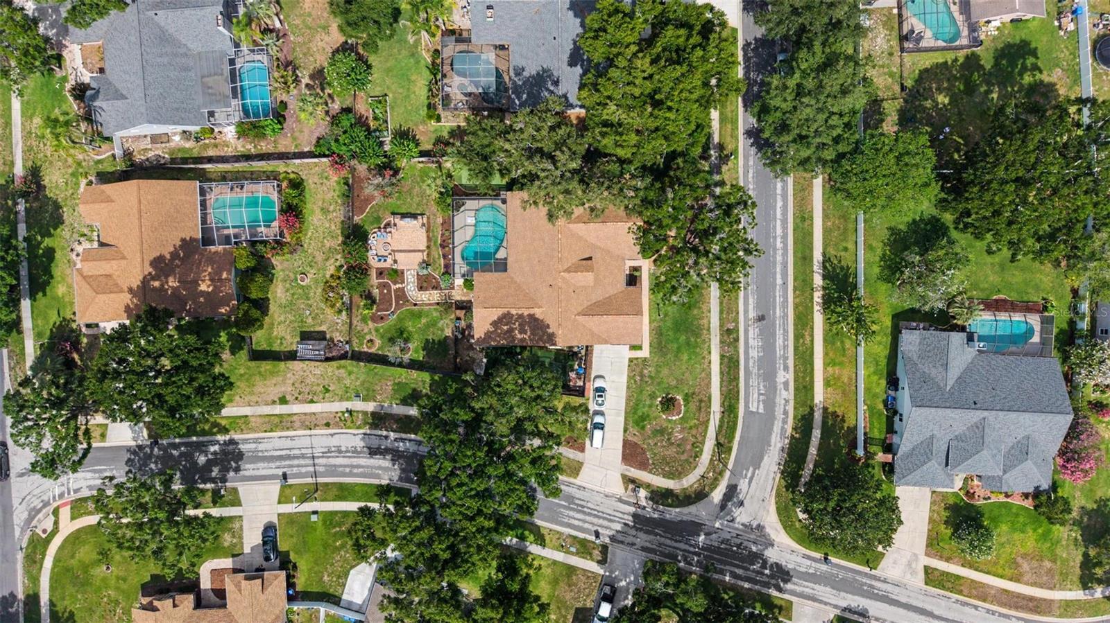 3916 Broomsedge Ln, Valrico, FL 33596