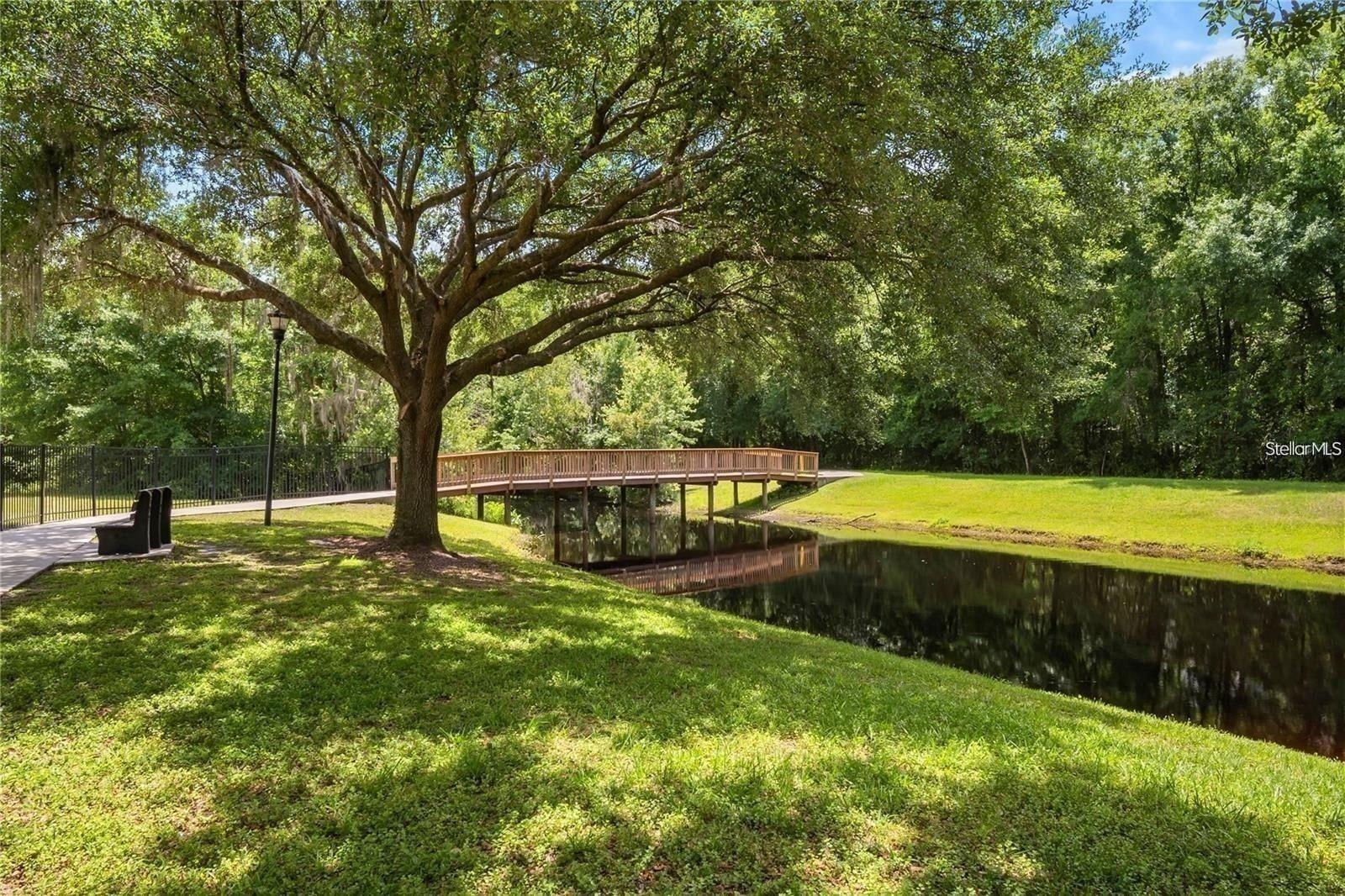 3916 Broomsedge Ln, Valrico, FL 33596