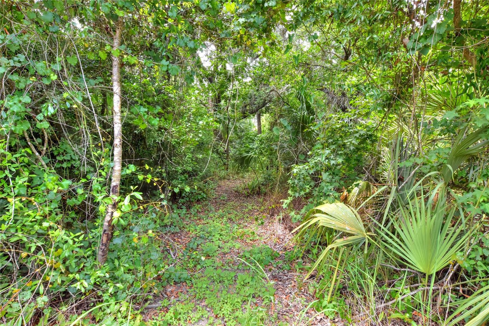 600 Thompson Rd, Lithia, FL 33547