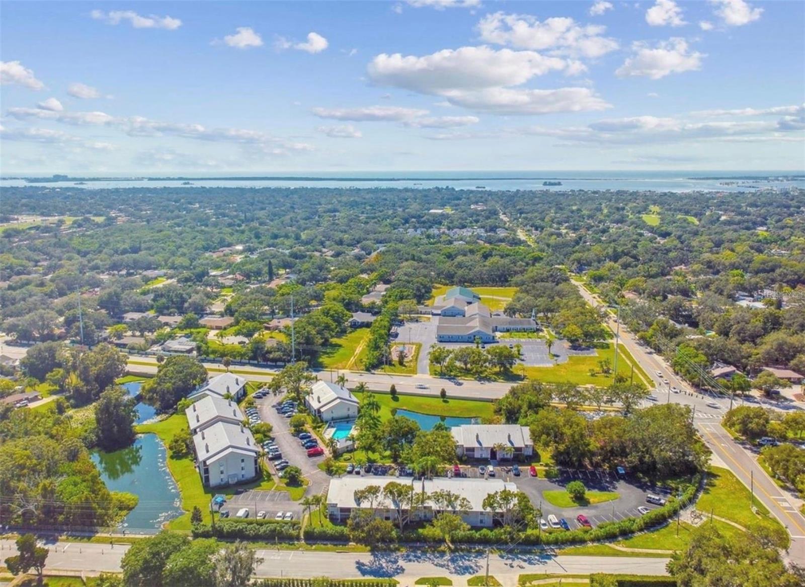 2067 Hunters Glen Dr #312, Dunedin, FL 34698
