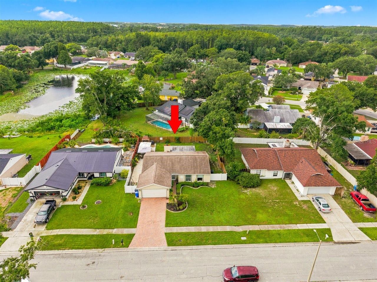 5309 Black Pine Dr, Tampa, FL 33624