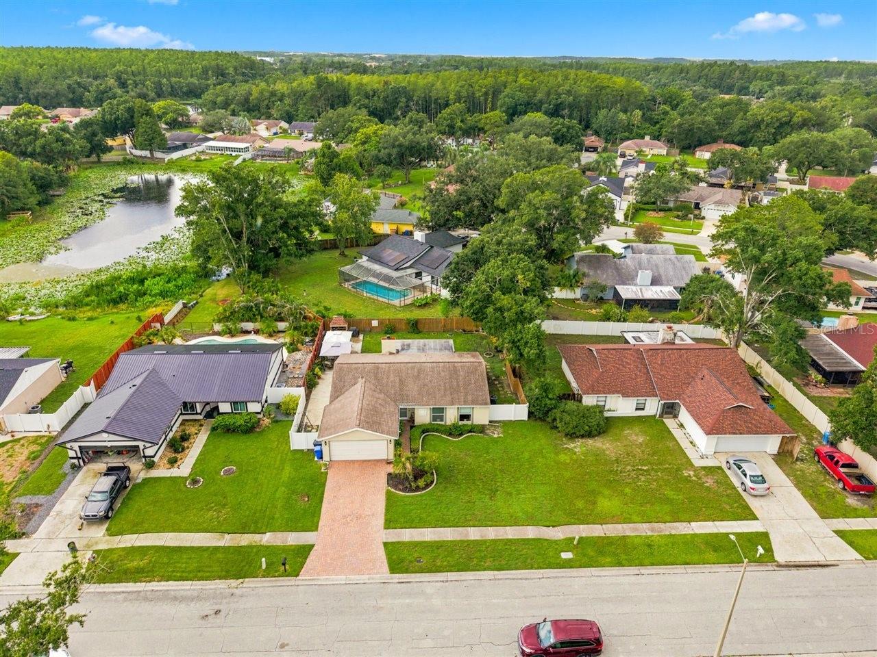 5309 Black Pine Dr, Tampa, FL 33624