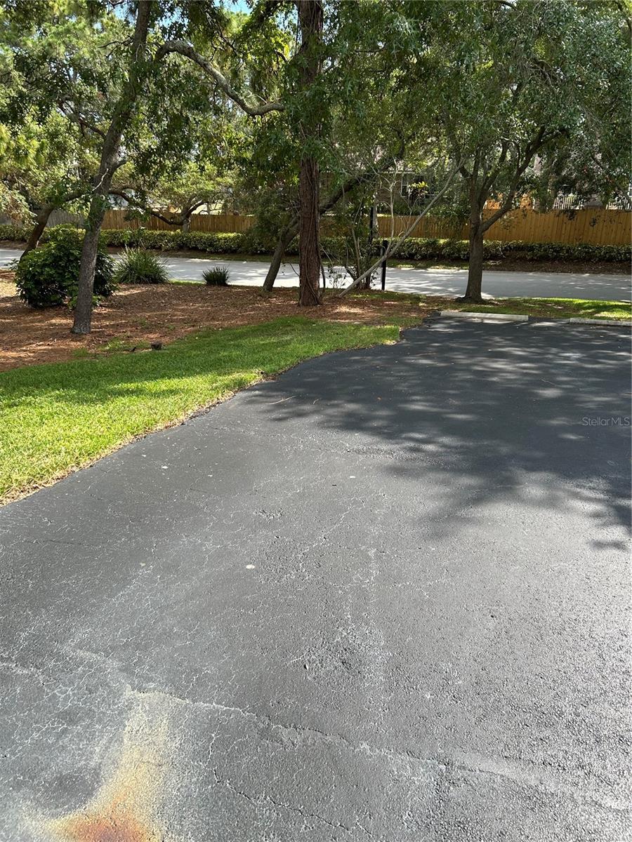 1505 Lennox Rd E #1505, Palm Harbor, FL 34683