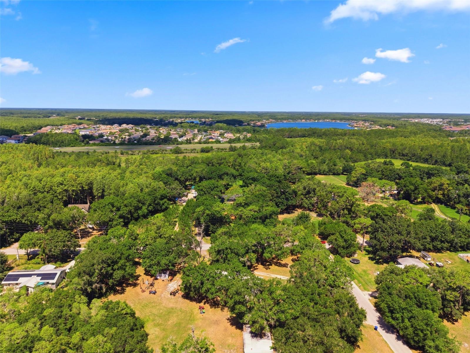 17214 Chinaberry Rd, Lutz, FL 33558