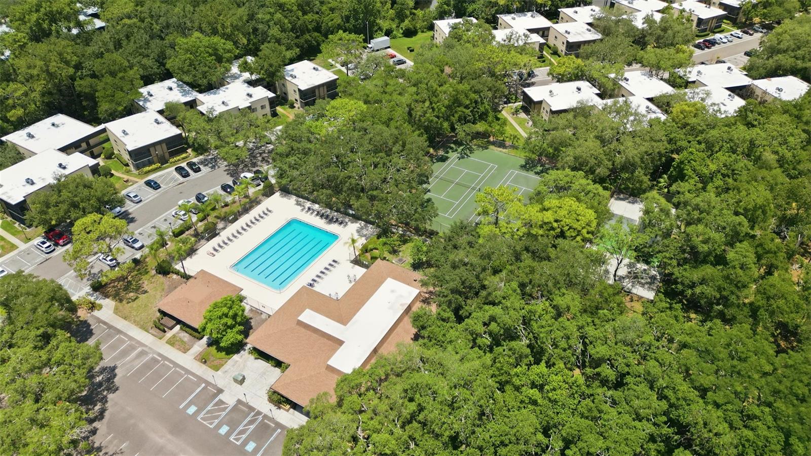11844 Skylake Pl, Tampa, FL 33617