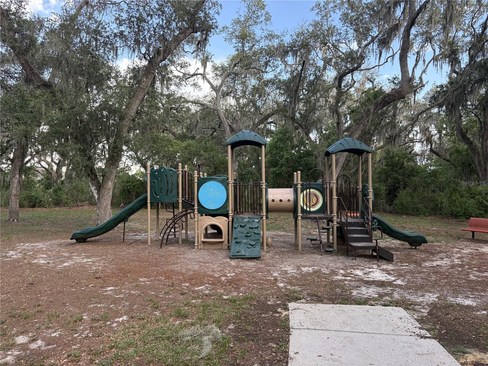 5805 Watercolor Dr, Lithia, FL 33547