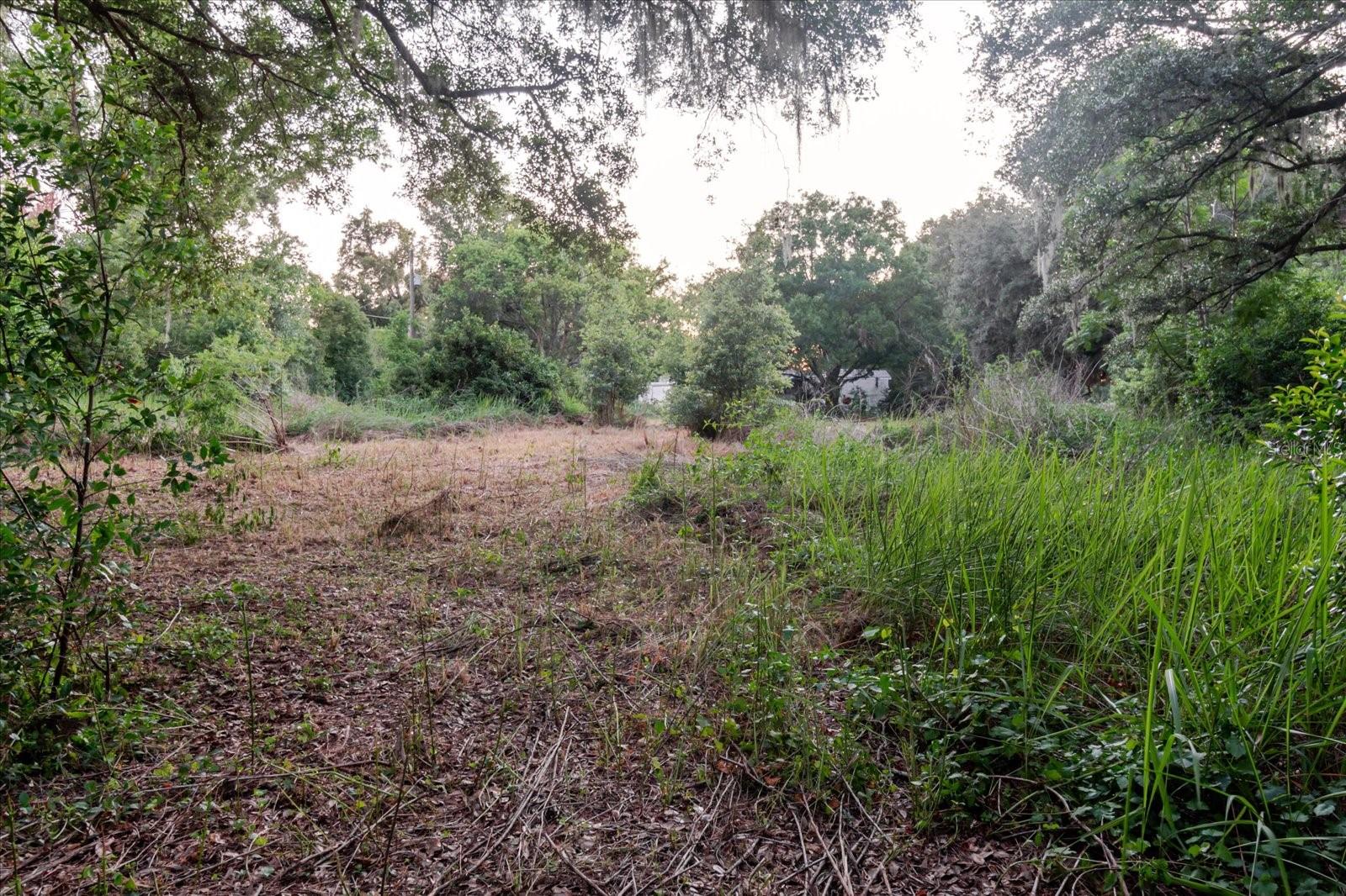 11152 Galaxy Ln, Thonotosassa, FL 33592