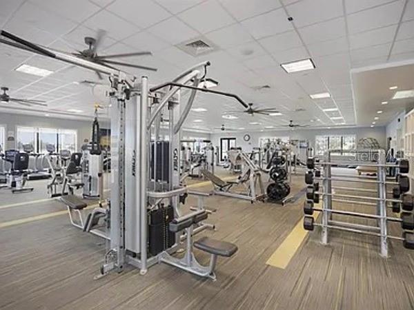 5044 Sandy Brook Cir, Wimauma, FL 33598