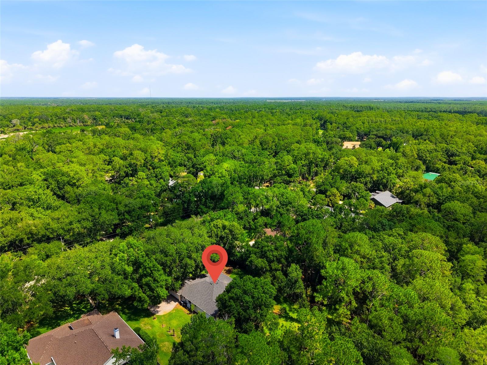 9020 Shenandoah Rn, Wesley Chapel, FL 33544