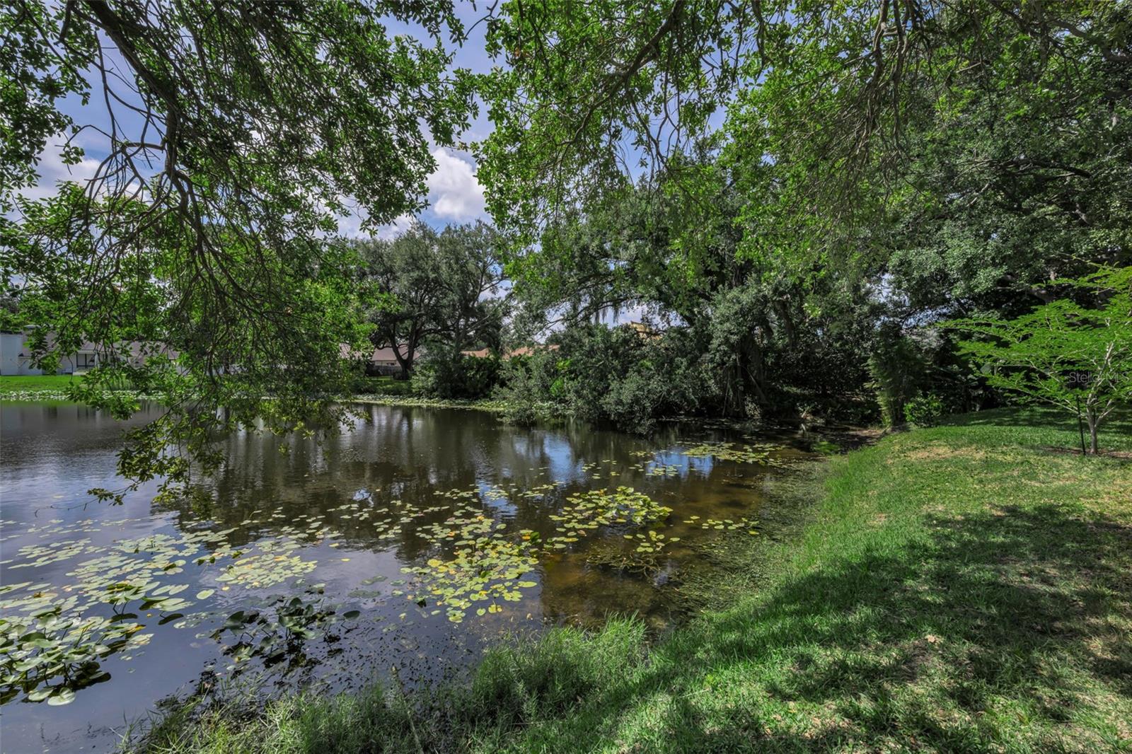 10497 Longwood Dr, Seminole, FL 33777
