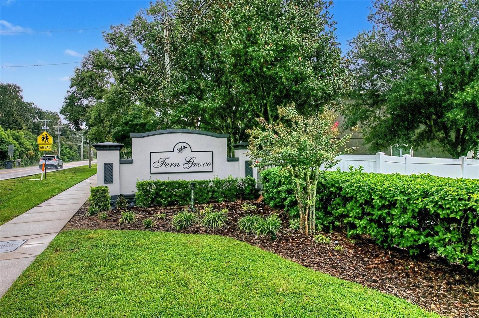 2622 Red Fern Dr, Dover, FL 33527
