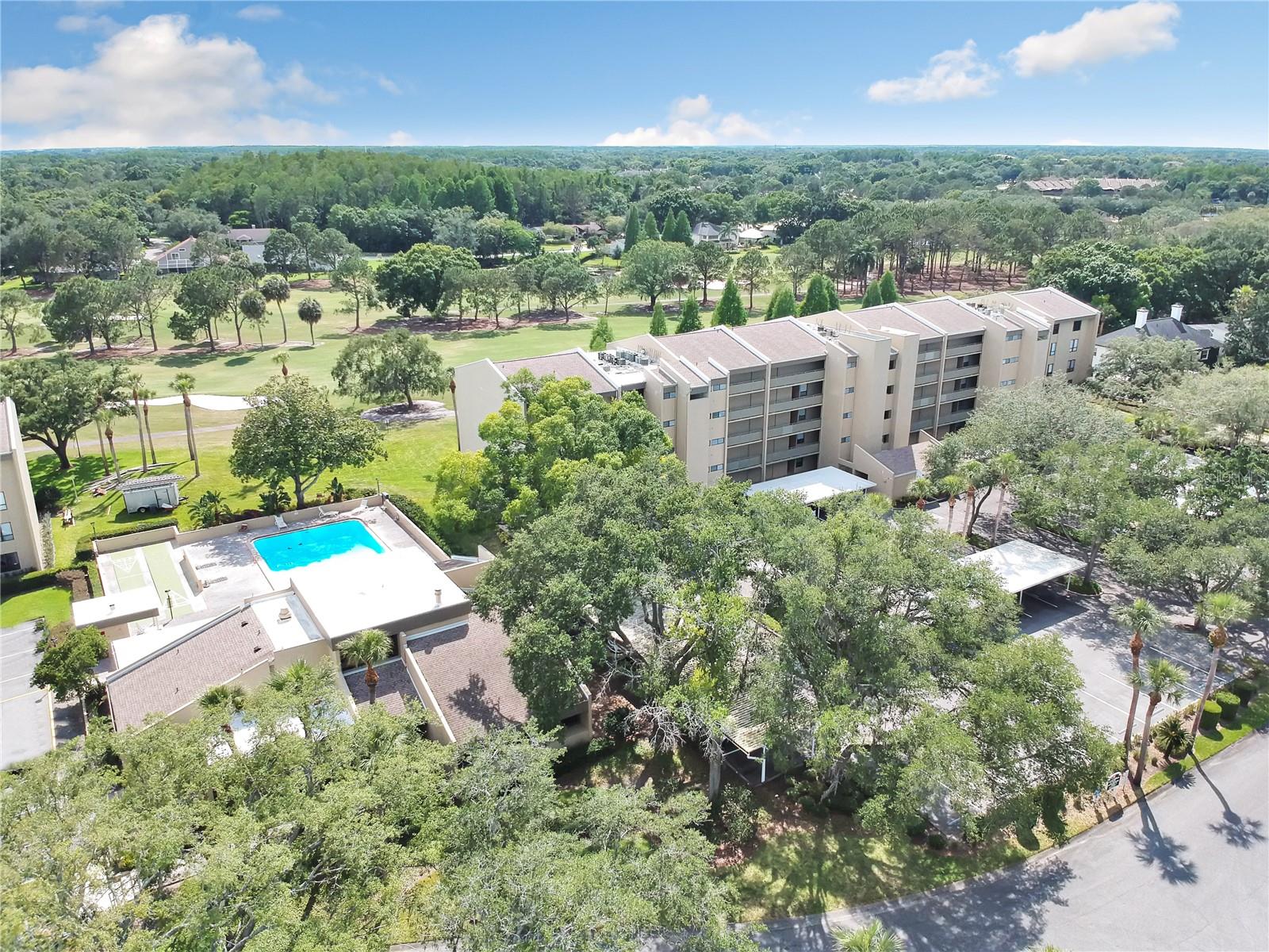 13626 Greenfield Dr #201, Tampa, FL 33618