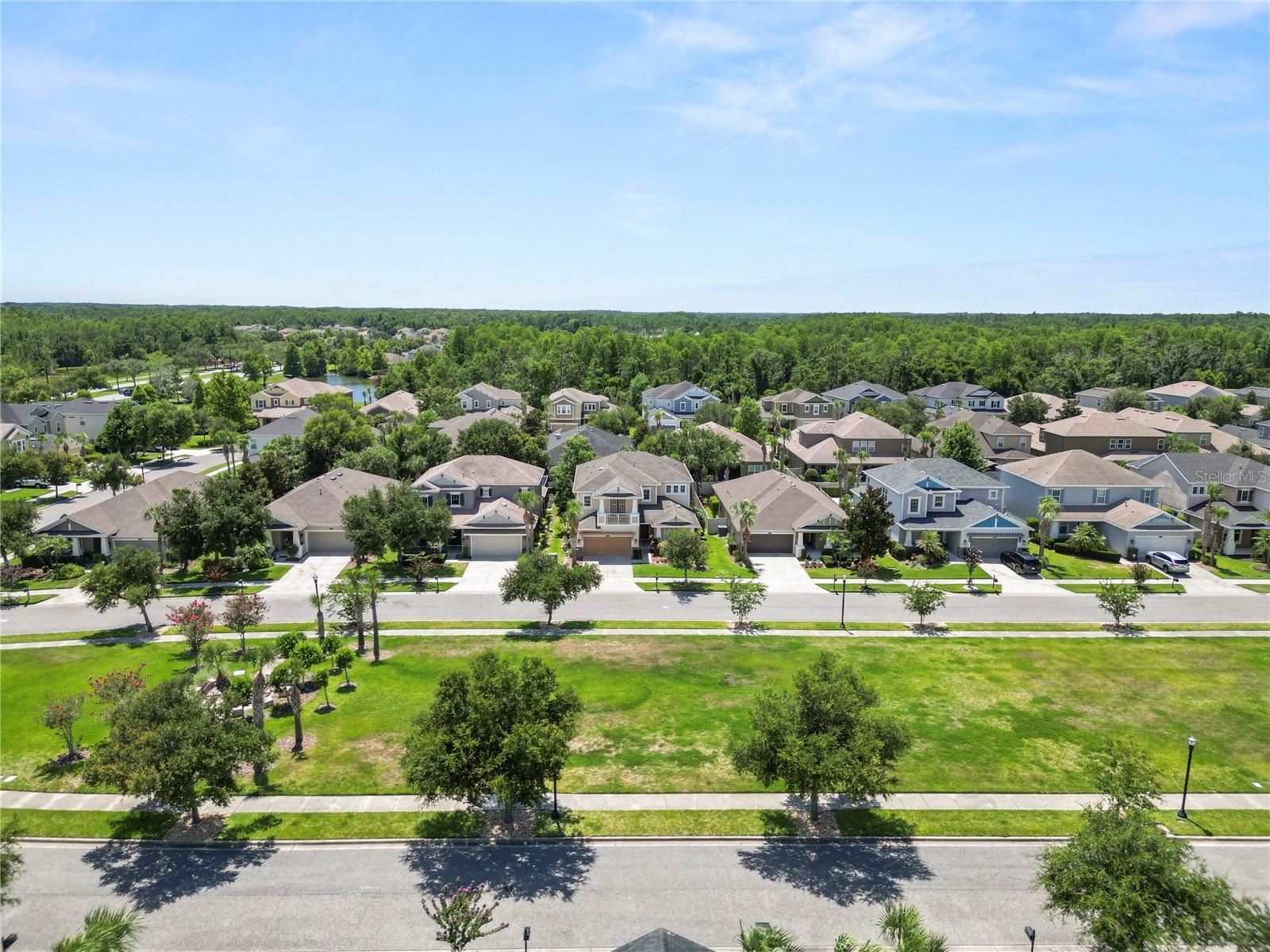 8775 Sentiero Dr, Land O Lakes, FL 34637