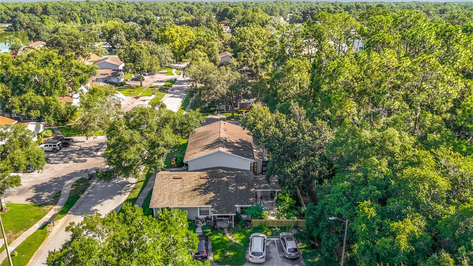 15101 Morning Dr, Lutz, FL 33559