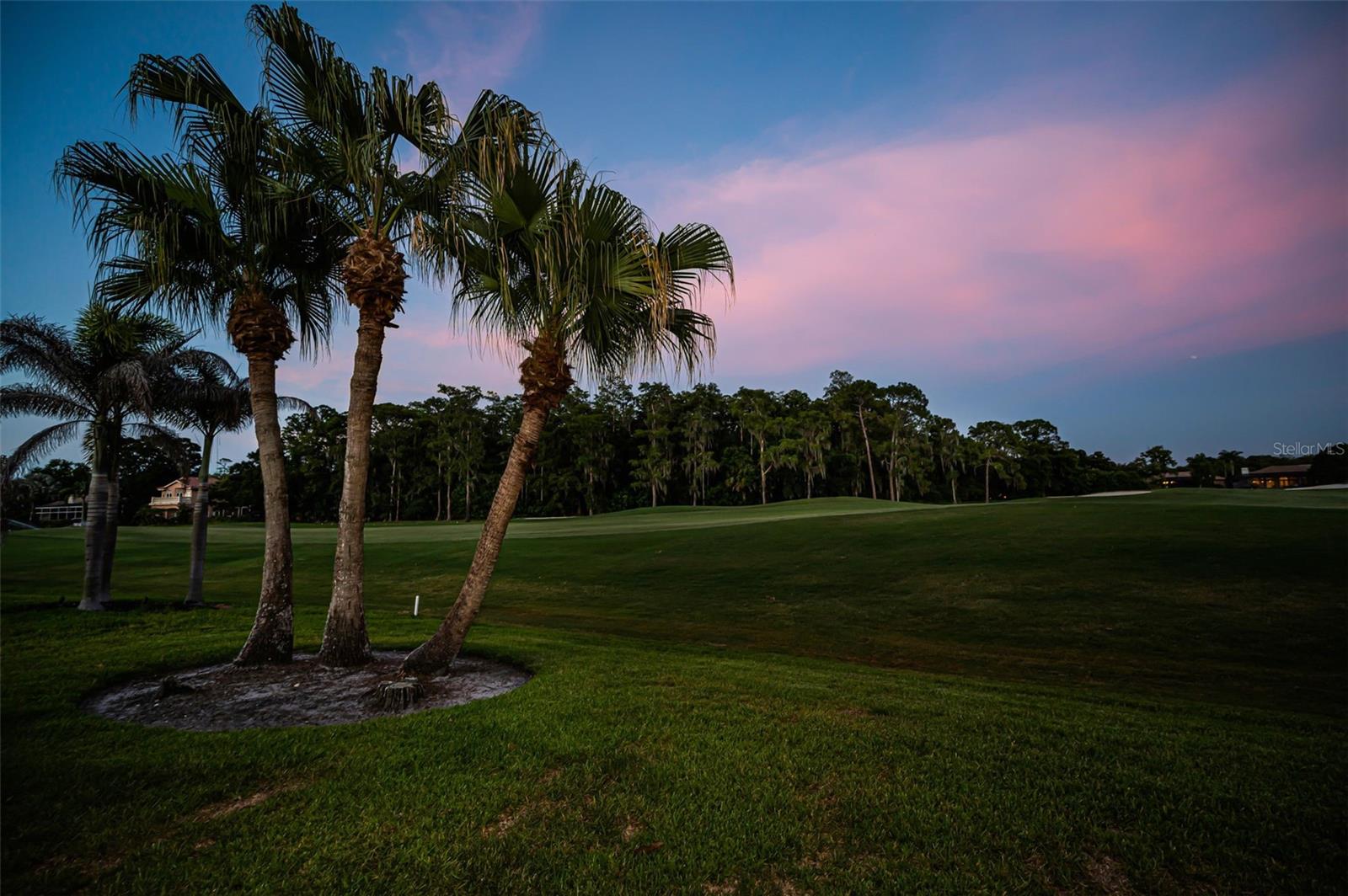 4995 Camberley Ln, Oldsmar, FL 34677