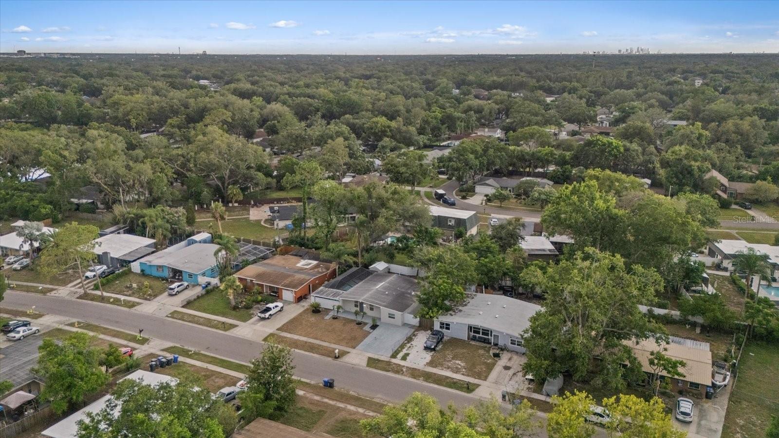 1130 Dogwood Ave, Tampa, FL 33613