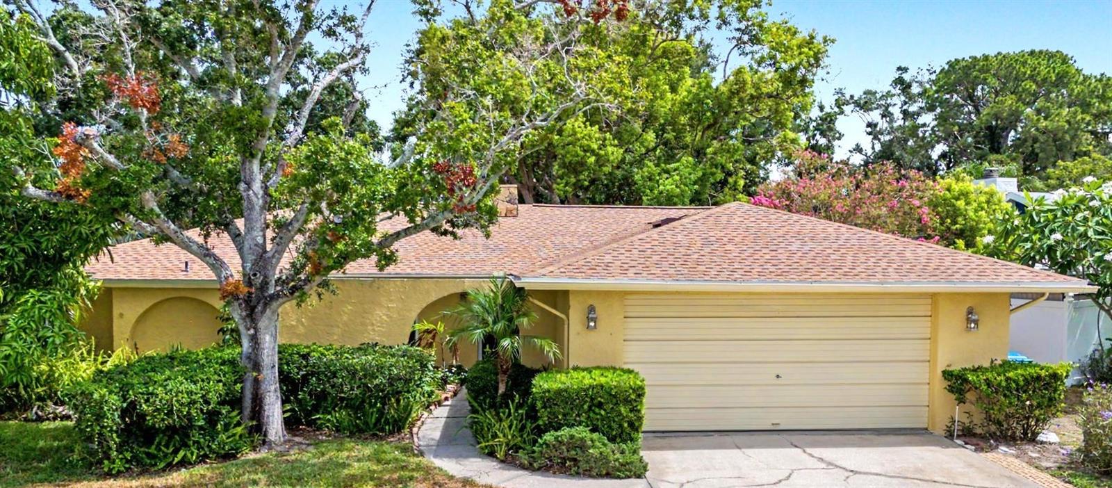 1100 Persimmon Dr, Palm Harbor, FL 34683