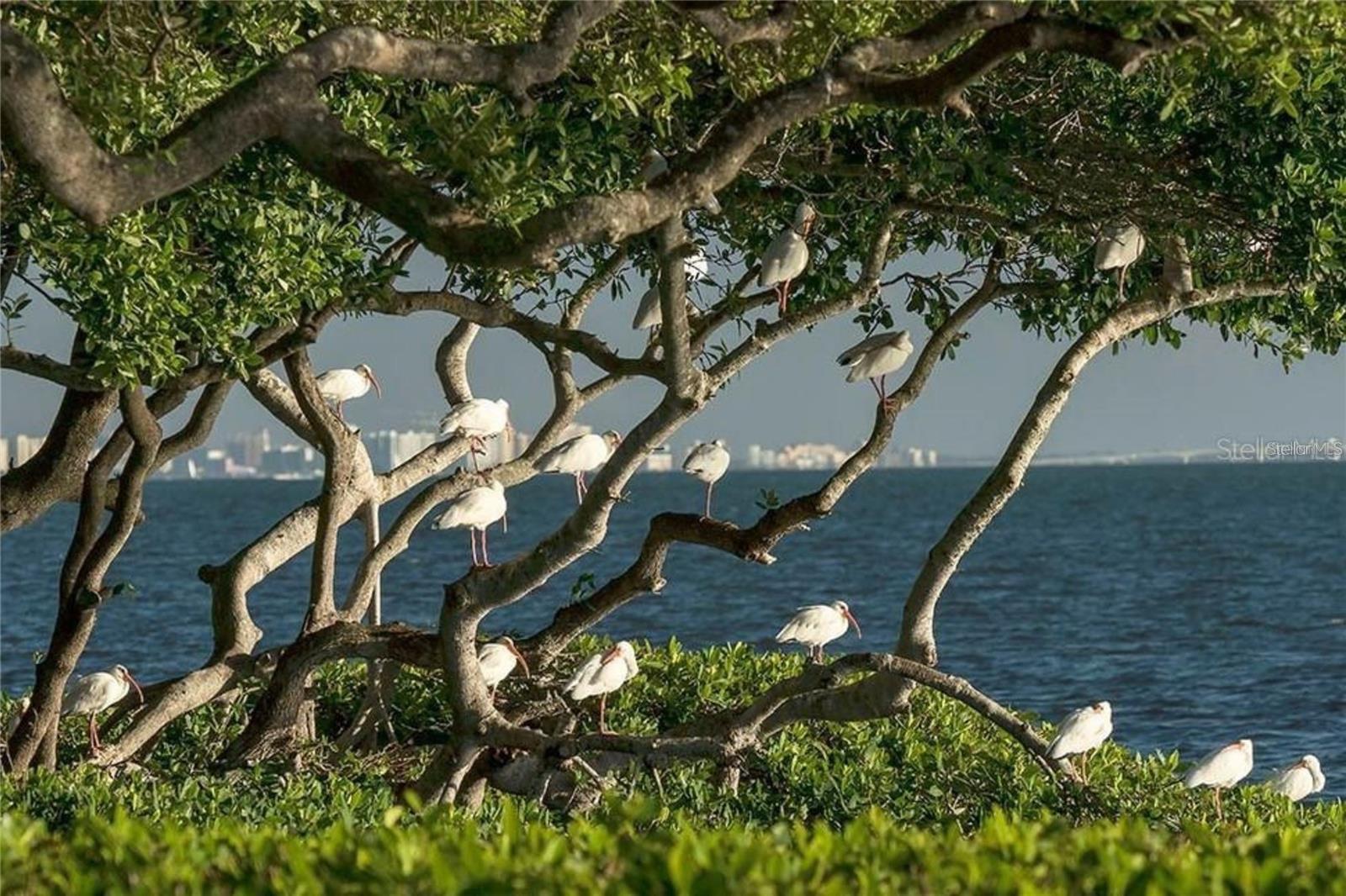 56 Tidy Island Blvd #56, Bradenton, FL 34210