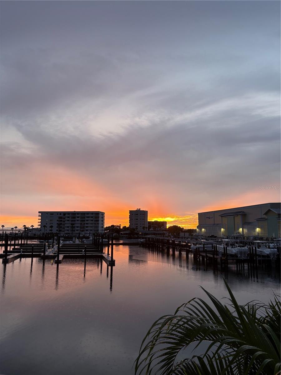 433 S Paula Dr #28, Dunedin, FL 34698