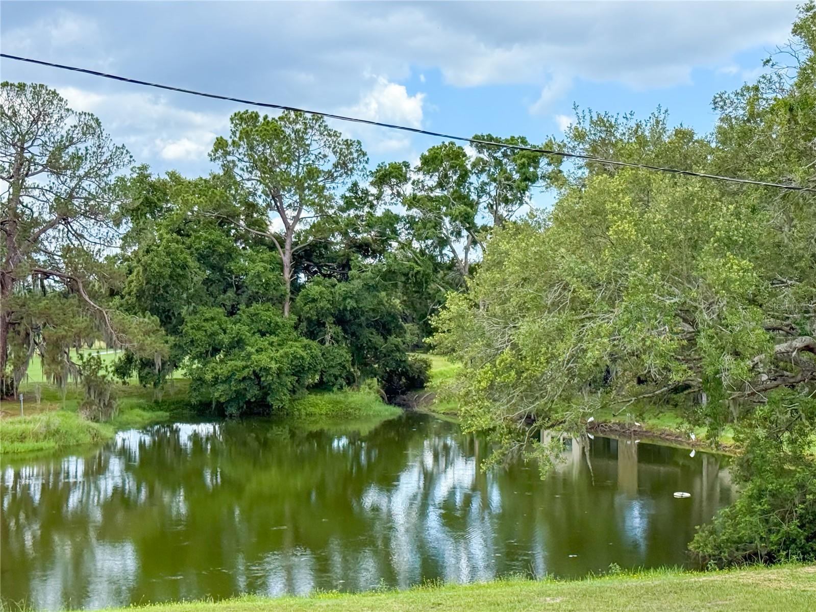 2650 Tanglewood Trl, Palm Harbor, FL 34685
